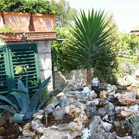 On Island Brac - Leona Postira