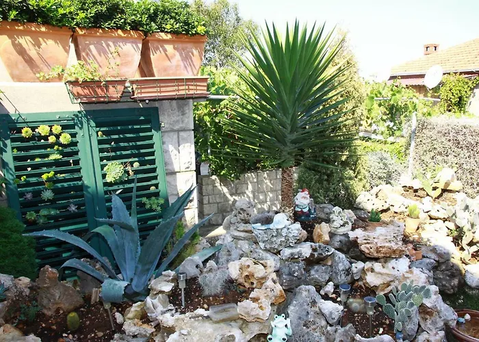 On Island Brac - Leona Postira