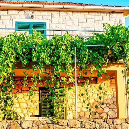 On Island Brac - Leona Postira