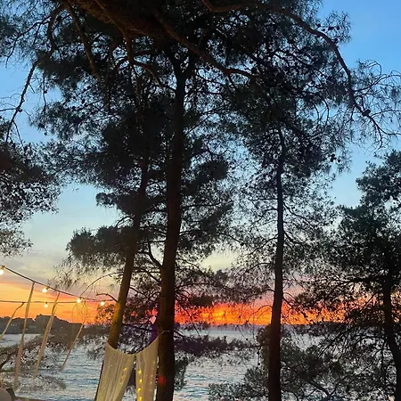 On Island Brac - Leona Holiday home