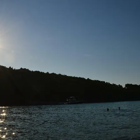 Holiday home Vacation House On Island Brac - Ana Postira